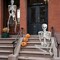 Plastic Human Skeleton Bones with Movable Joints for Halloween Decoration Spooky Scene Party Favors Décor